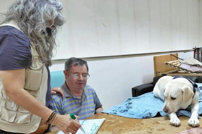 Os nossos amigos patudos já fazem parte da família :) 